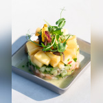 Le Son de la Terre - Son de la Terre 235