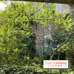 Le Petit Cormier, Montigny-sur-Loing - image00012