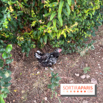 Le Grand Parc des Docks, à Saint-Ouen - image00227