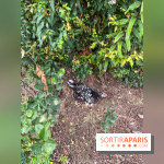 Le Grand Parc des Docks, à Saint-Ouen - image00229