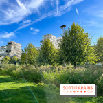 Le parc Martin Luther King