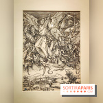 Trésors en noir et blanc, l'exposition des grands maîtres de l'estampe au Petit Palais - nos photos