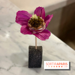 Tracé, Clément Vergeat - Fleur radis caviar