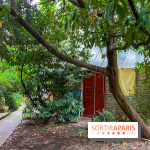 Fondation La Ruche - Seydoux - Cité d'artistes  - image00046