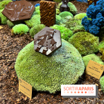 Alain Ducasse - Chocolats de Noël 2023 - 8BD9A8A5 B759 40A3 AD54 BDB4085896B4