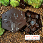 Alain Ducasse - Chocolats de Noël 2023 - FF7AC281 5BCF 4FB7 B9D6 B91F033AC06D
