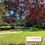 Parc de la butte du chapeau rouge