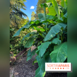 Parc de la butte du chapeau rouge - image00790