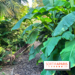 Parc de la butte du chapeau rouge - image00791