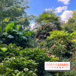 Parc de la butte du chapeau rouge - image00783