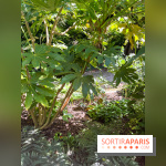 Parc de la butte du chapeau rouge - image00784