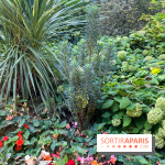 Parc de la butte du chapeau rouge - image00778