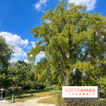 Parc de la butte du chapeau rouge