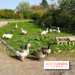 La Ferme des 4 Etoiles à Auffargis - image00032