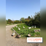 La Ferme des 4 Etoiles à Auffargis - image00033