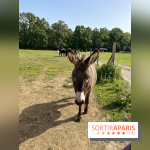 La Ferme des 4 Etoiles à Auffargis - image00035