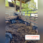 La Ferme des 4 Etoiles à Auffargis - image00026