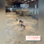 La Ferme des 4 Etoiles à Auffargis - image00017