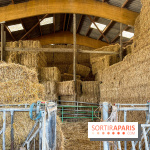 La Ferme des 4 Etoiles à Auffargis - image00021