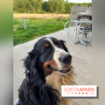 La Ferme des 4 Etoiles à Auffargis - image00006