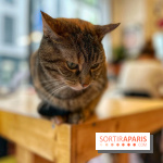 La Régulière - IMG 5295