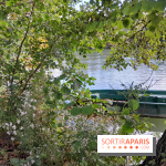 Les bords de Marne - image00014