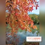 Les bords de Marne - image00004