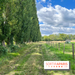 Un week-end le long du Loing, de Montigny-sur-Loing à Thomery