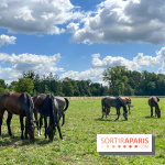 Un week-end le long du Loing, de Montigny-sur-Loing à Thomery