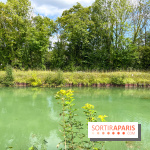Un week-end le long du Loing, de Montigny-sur-Loing à Thomery