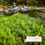 Les jardins japonais de Favières - photos