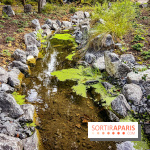 Les jardins japonais de Favières - photos - IMG 1773