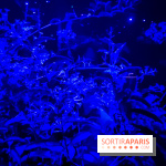 Parfums d'Orient, l'exposition qui enchante nos sens à l'Institut du Monde Arabe - photos