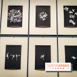 Parfums d'Orient, l'exposition qui enchante nos sens à l'Institut du Monde Arabe - photos