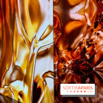 Dior J'adore !, l'exposition gratuite qui célèbre le parfum iconique de la Maison  - image00037