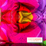 Dior J'adore !, l'exposition gratuite qui célèbre le parfum iconique de la Maison  - image00015