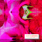 Dior J'adore !, l'exposition gratuite qui célèbre le parfum iconique de la Maison  - image00016