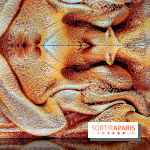 Dior J'adore !, l'exposition gratuite qui célèbre le parfum iconique de la Maison  - image00019