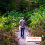 Le sentier des Maréchaux à Senlisse - Vallée de Chevreuse -  A7C2479