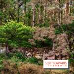 Le sentier des Maréchaux à Senlisse - Vallée de Chevreuse -  A7C2497