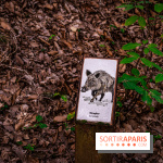 Le sentier des Maréchaux à Senlisse - Vallée de Chevreuse -  A7C2510