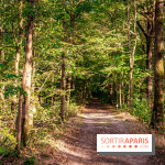 Le sentier des Maréchaux à Senlisse - Vallée de Chevreuse -  A7C2513