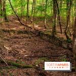 Le sentier des Maréchaux à Senlisse - Vallée de Chevreuse -  ancien abreuvoir