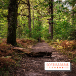 Le sentier des Maréchaux à Senlisse - Vallée de Chevreuse -  A7C2528