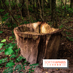 Le sentier des Maréchaux à Senlisse - Vallée de Chevreuse -  A7C2540