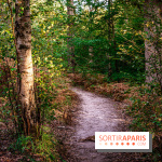 Le sentier des Maréchaux à Senlisse - Vallée de Chevreuse -  A7C2549