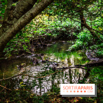 Le sentier des Maréchaux à Senlisse - Vallée de Chevreuse -  marécage