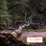 Le sentier des Maréchaux à Senlisse - Vallée de Chevreuse -  A7C2568