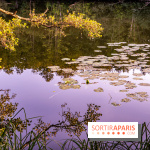 Le sentier des Maréchaux à Senlisse - Vallée de Chevreuse -  étang de Cernay