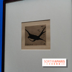 Exposition Van Gogh au Musée d’Orsay - Auvers-sur-Oise, les derniers mois -  A7C3042